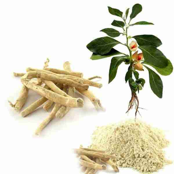 Ashwagandha Powder