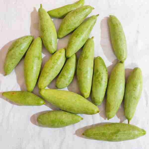 Potol (Pointed Gourd) - 500 gm