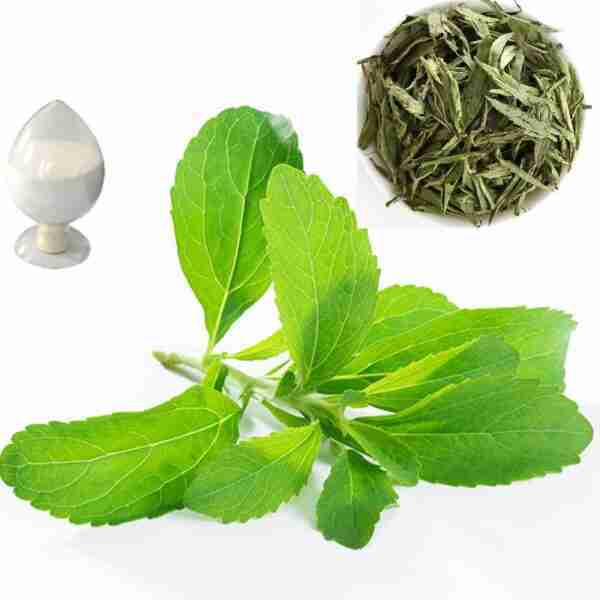 Stevia - Natural Sweetener