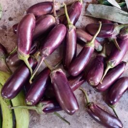 Brinjal (Bengena) – 500 gm