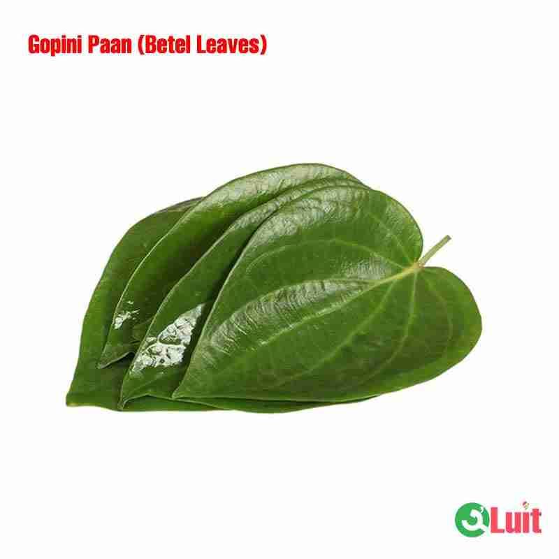 Gopini Paan – 1 Bunc