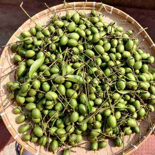 Fresh Jolphai | Assam Olive