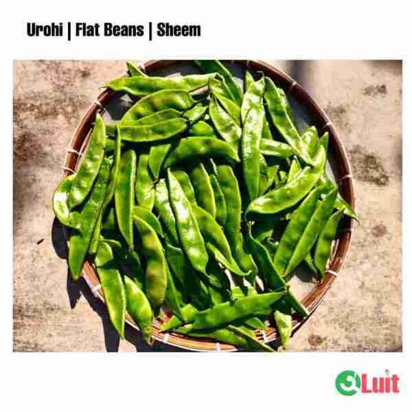 Urohi | Flat Beans | Sheem - 250 gm