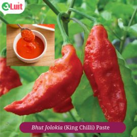 Bhut Jolokia Paste