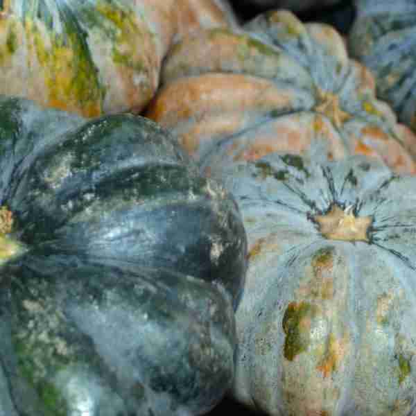 Ronga Lau / Assam Pumpkin